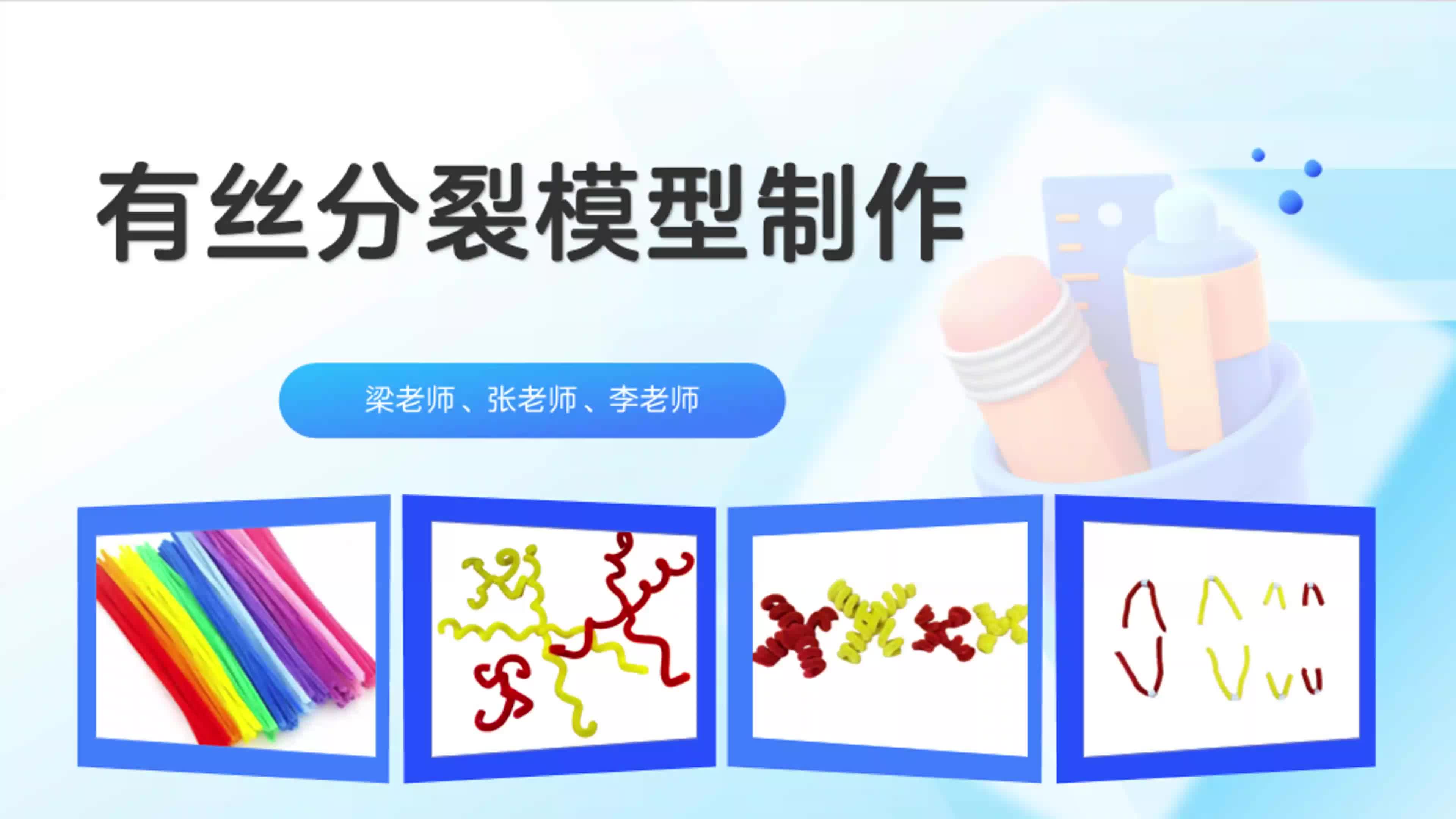 生物-有丝分裂模型制作